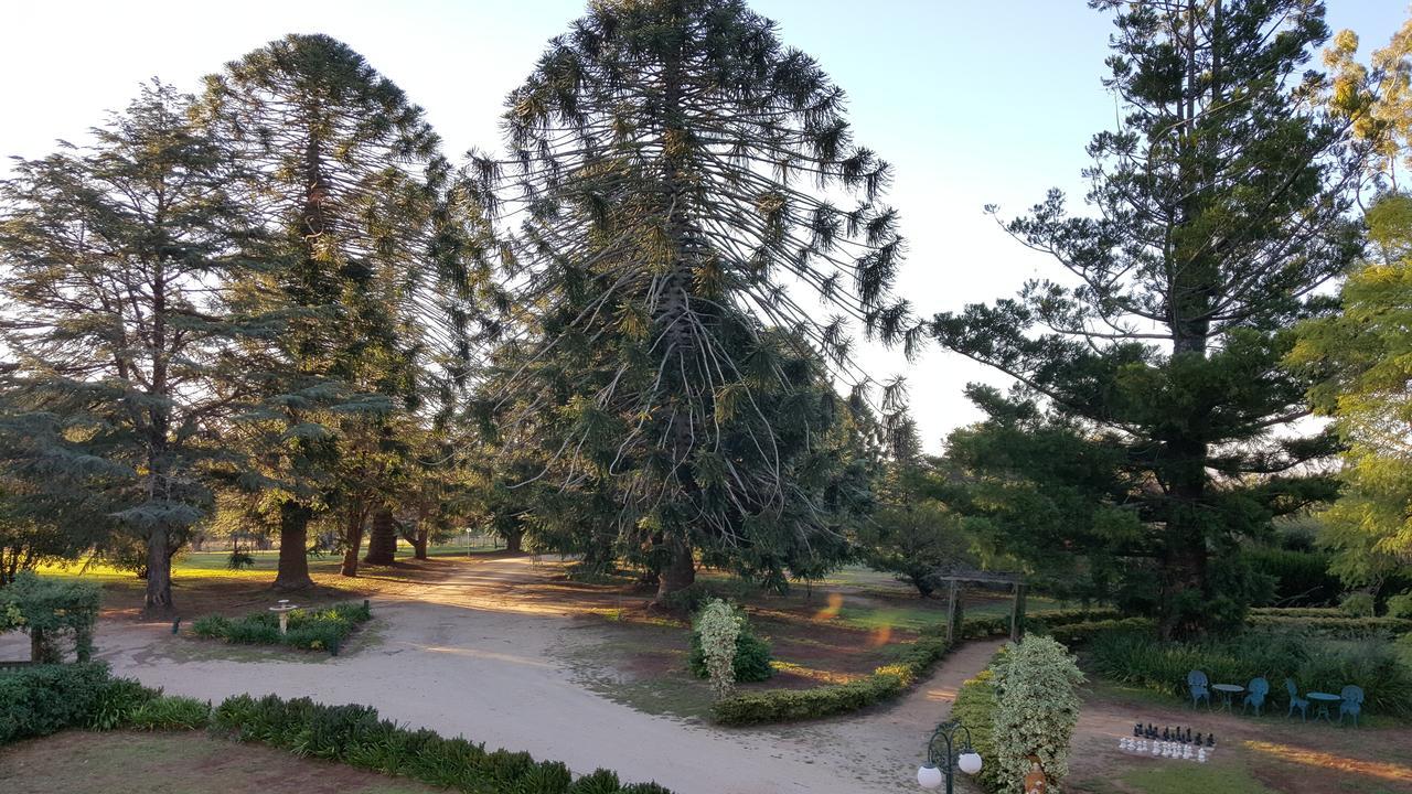 Blair Athol Homestead Inverell Kültér fotó