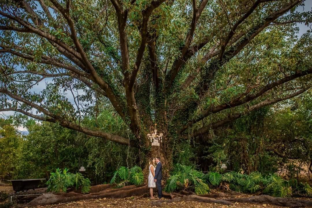 Blair Athol Homestead Inverell Kültér fotó